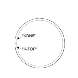 Piston ring new version