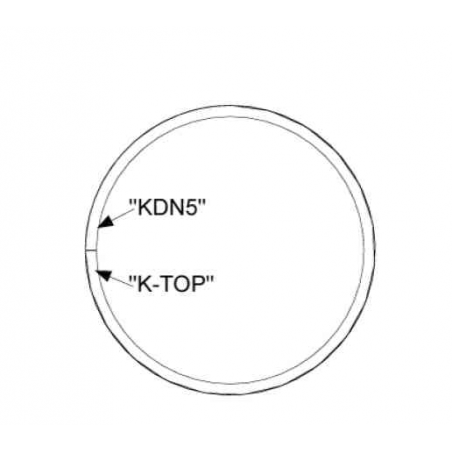 Piston ring new version