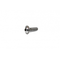 Screw w/ flange M5x16