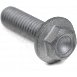 Screw w/ flange M6x20