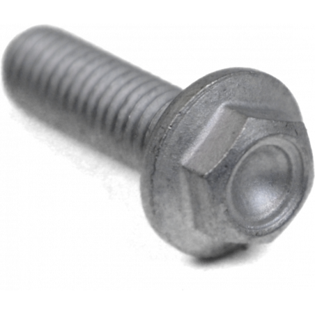 Screw w/ flange M6x20