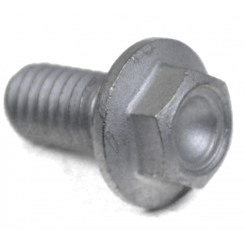 Screw w/ flange M6x12