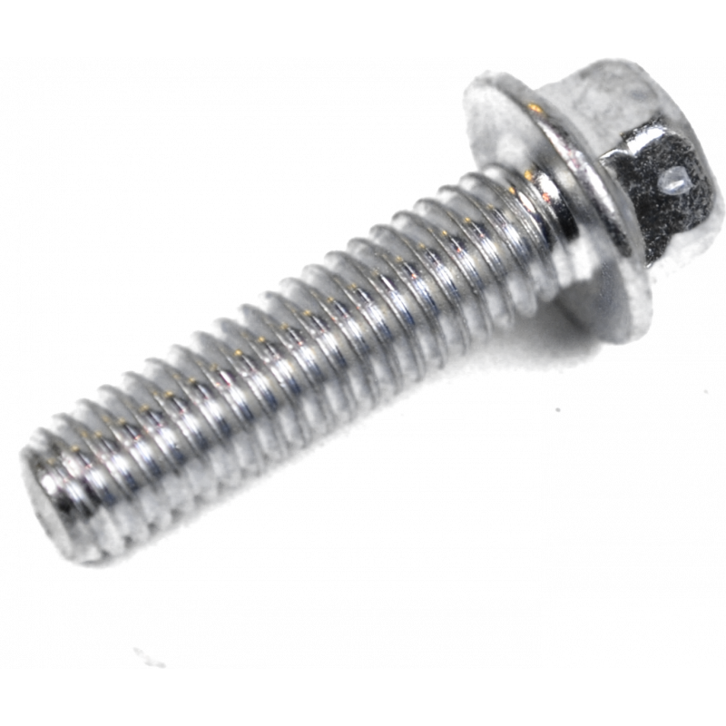 Screw w/ flange