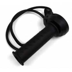 Electronic gas control