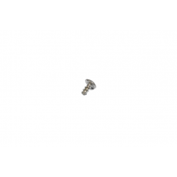 Self-tapping screw *