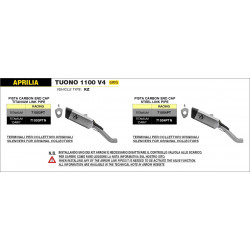 Arrow Pista titanium silencer with titanium link pipe