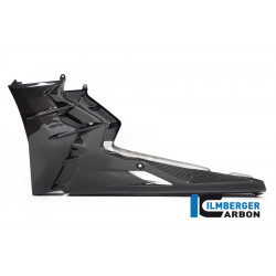 Ilmberger Bellypan one piece gloss Tuono V4 from 2021