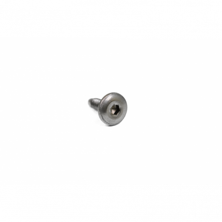 Screw w/ flange M5x12 (Ex AP8152302)