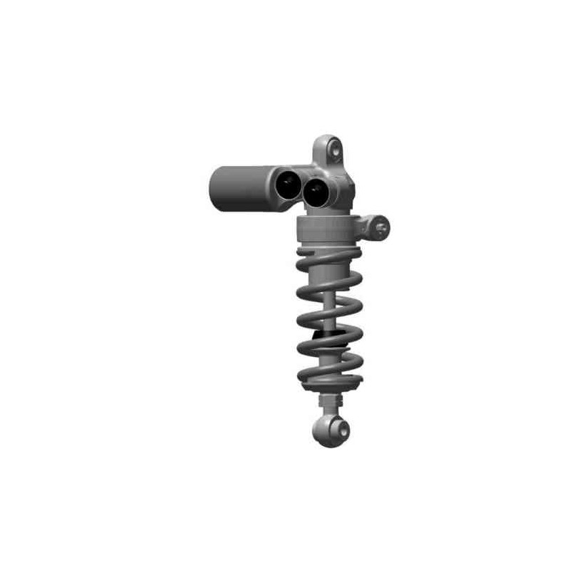 Rear shock absorber (Ex.2B005519)