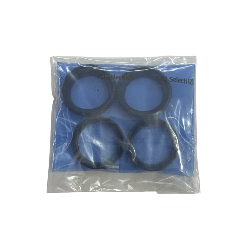 Front fork revision kit (ex 2B006021)