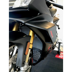 Aprilia Winglets Kit